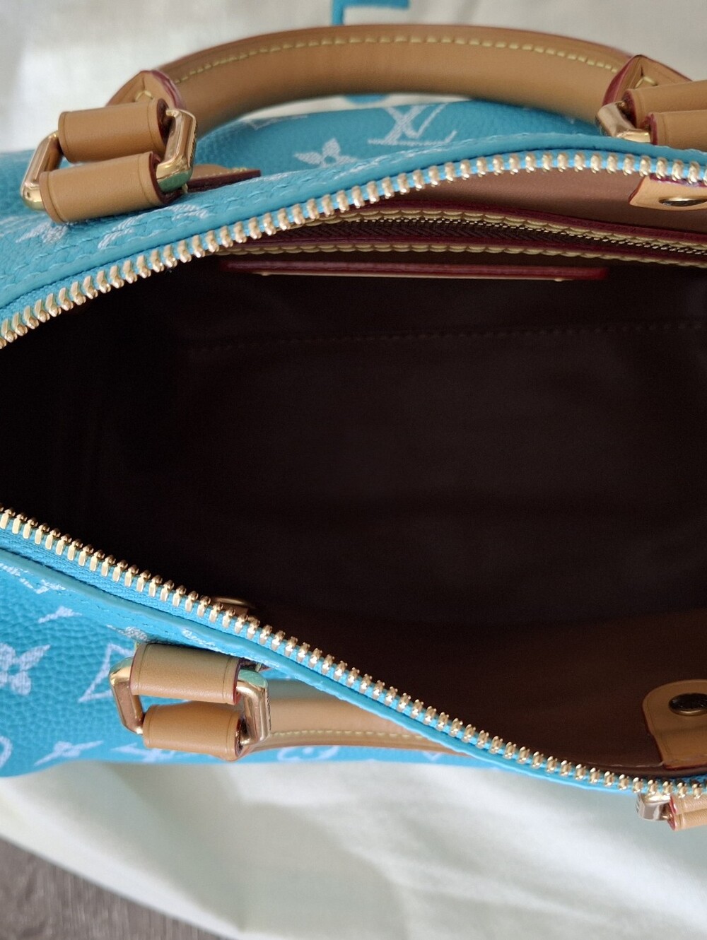 Turquoise Monogram Speedy 25 Luxury Handbag - Picture 3 of 15